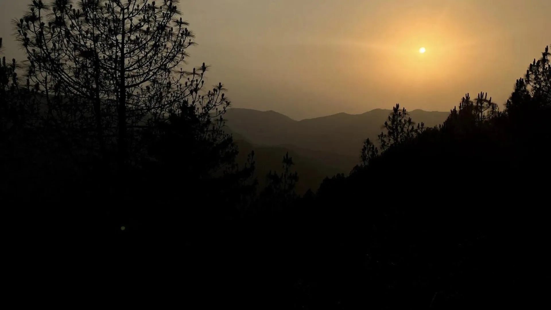 The Green Retreat - Ideal For Couple Shimla India
